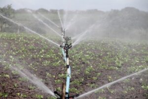 Grundwasserpumpe für die landwirtschaftliche Bewässerung