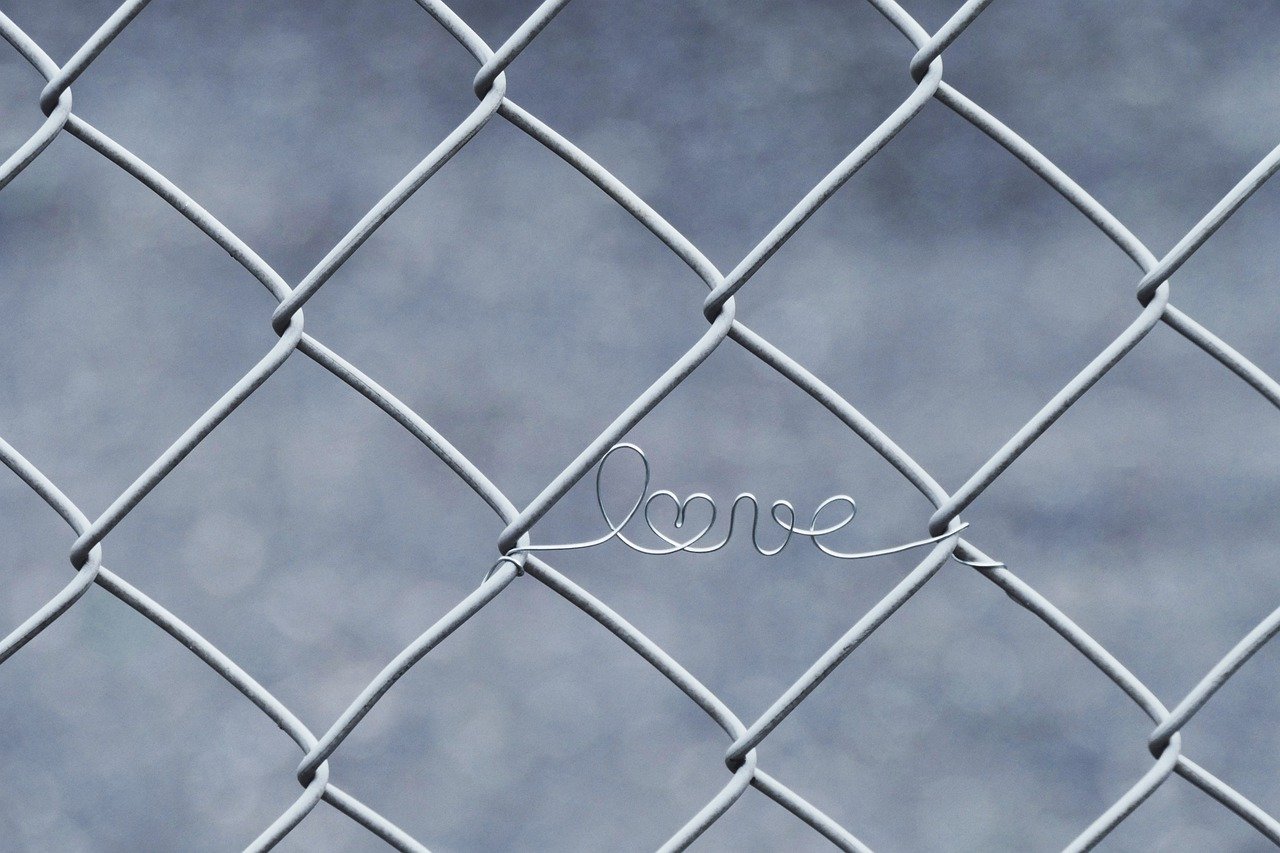 love, wire, fence