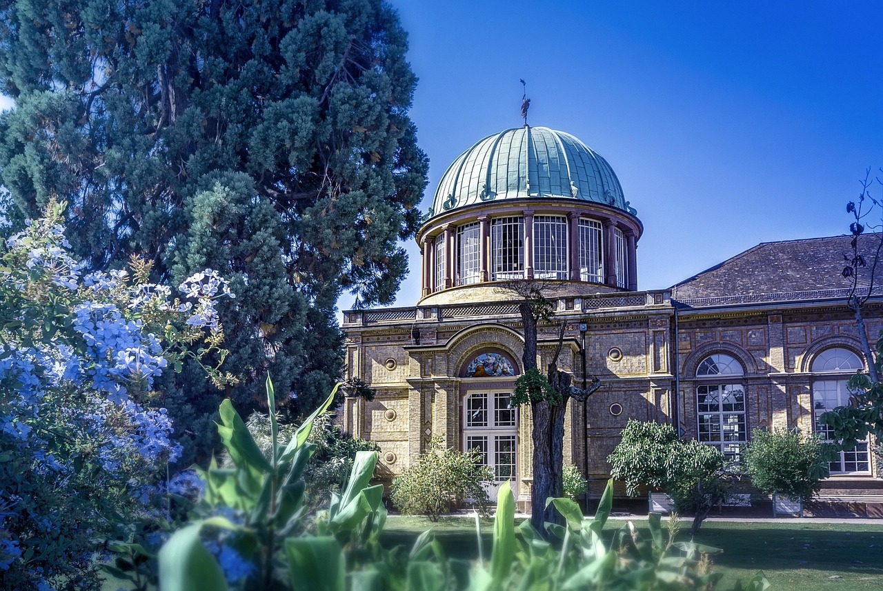 karlsruhe, botanical garden, summer, flower, nature, beauty, flower background, beautiful flowers, park, architecture, dome, botany, flower wallpaper, karlsruhe, karlsruhe, karlsruhe, karlsruhe, karlsruhe